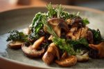Champignons et allergies : que faire en cas de réaction ?