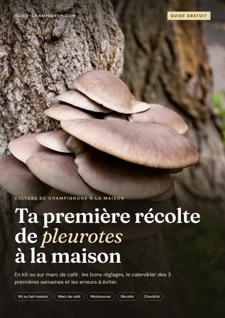 Couverture du guide Ta première récolte de pleurotes à la maison